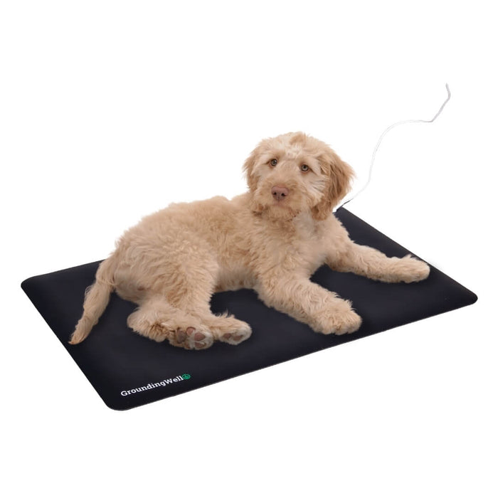 GroundingWell™ Pet Mat